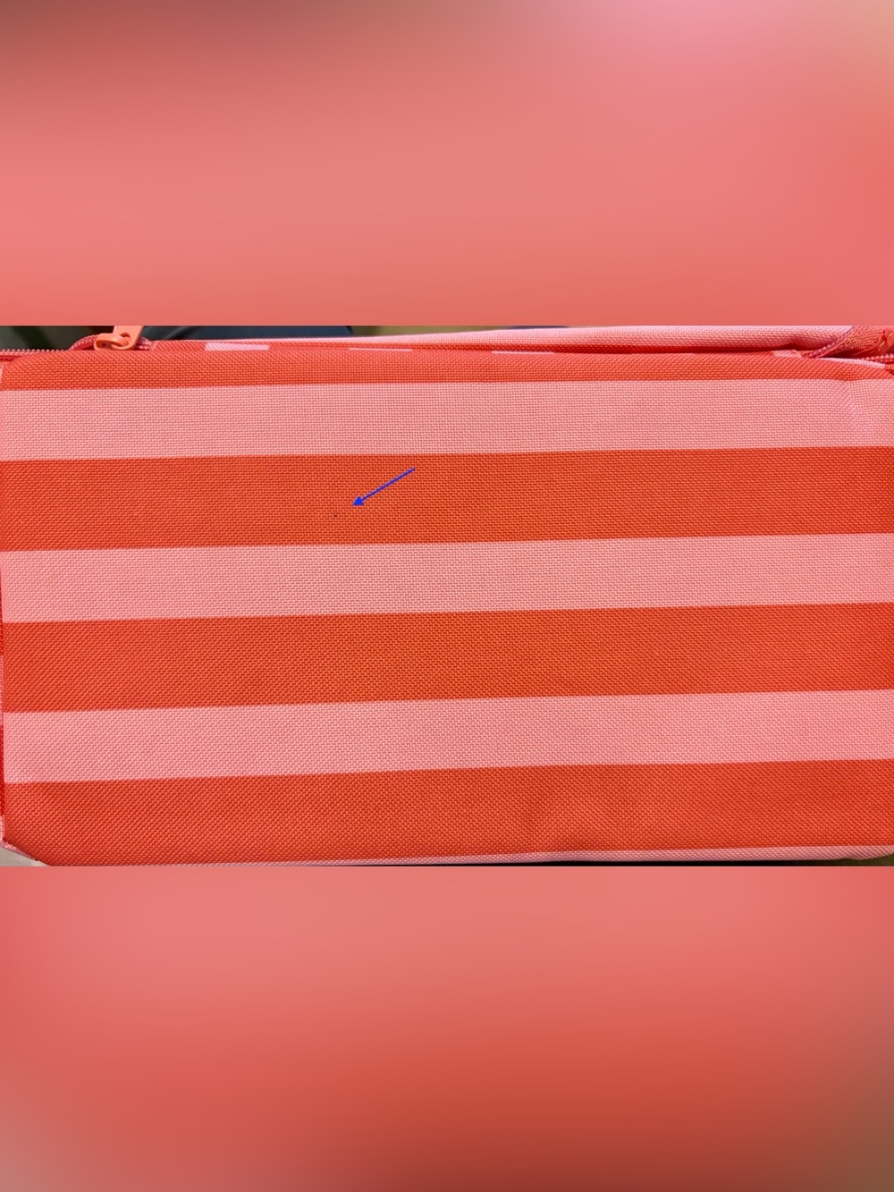 Set of 2 STRIPED TJ’s Trader Joe’s MINI Insulated Totes Limited SUMMER 2026 🩷💙 - Picture 6 of 6
